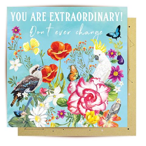 LaLa Land Cards
