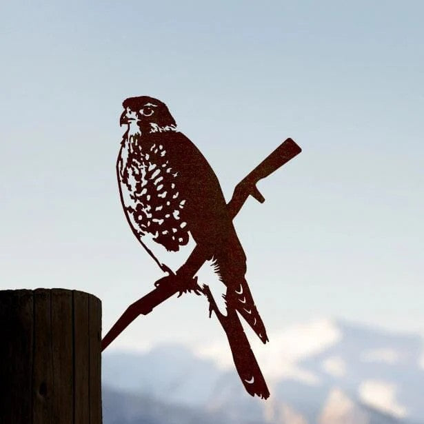 Metalbird - Falcon