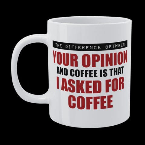 Funny Mug - I Asked For Coffee
