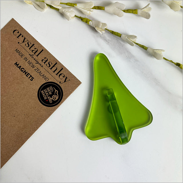 Acrylic Jet Plane Magnets