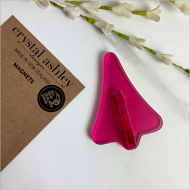 Acrylic Jet Plane Magnets