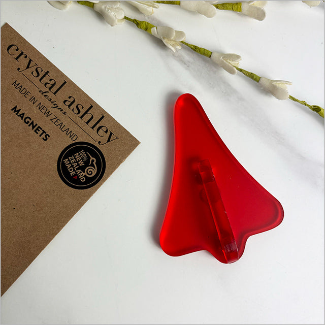 Acrylic Jet Plane Magnets