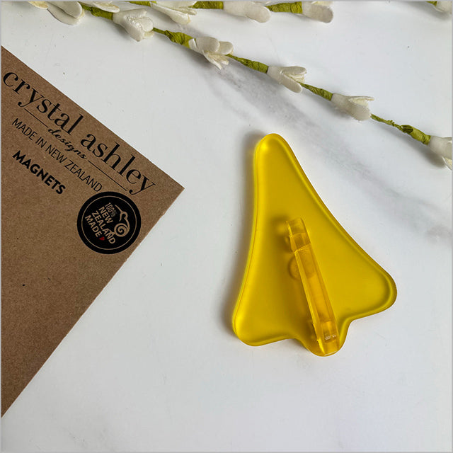 Acrylic Jet Plane Magnets