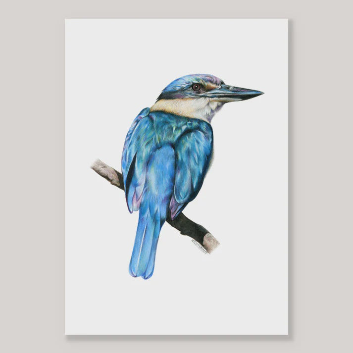 Kotare - A4 Print