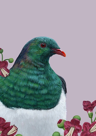 Portrait Of A Kereru - Kirsty McMahon