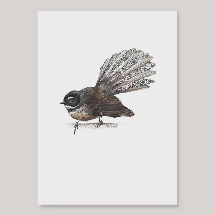 Fantail - A4 Print