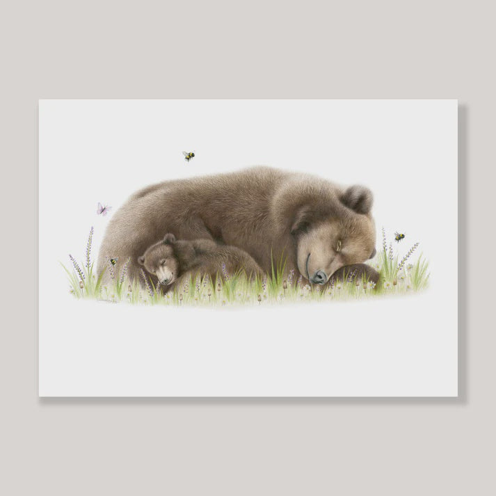 Sleeping Bears - A4 Print