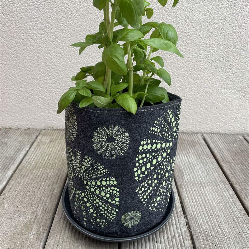 Eco Felt Grow Bag - Kina