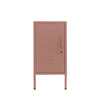 Doris Metal Locker