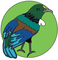 NZ Bird Enamel Pins