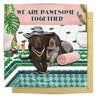 LaLa Land Cards