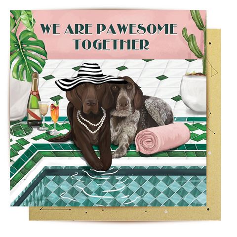 LaLa Land Cards