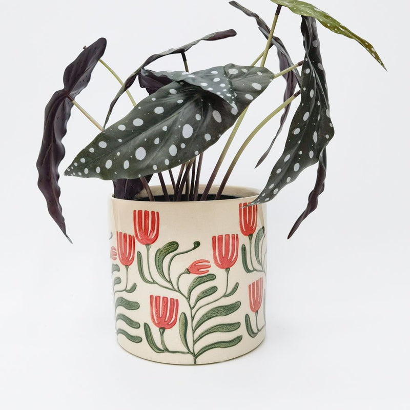 Pilbra Planter - Green/Red