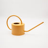Porto Indoor Watering Can