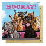 LaLa Land Cards