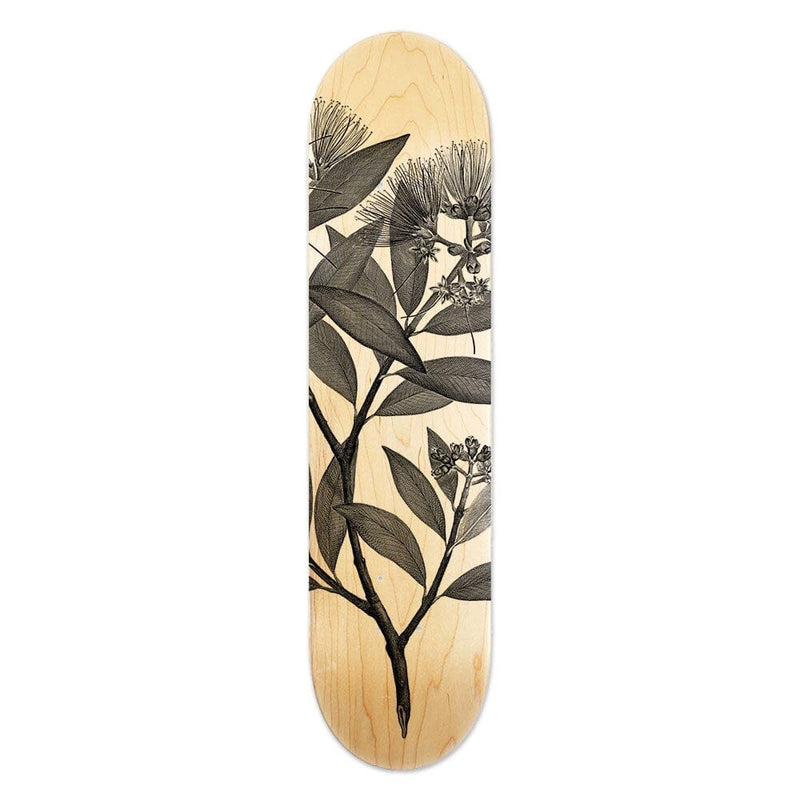 Skateboard Deck - Pohutukawa Art - 100% NZ 100% NZ 