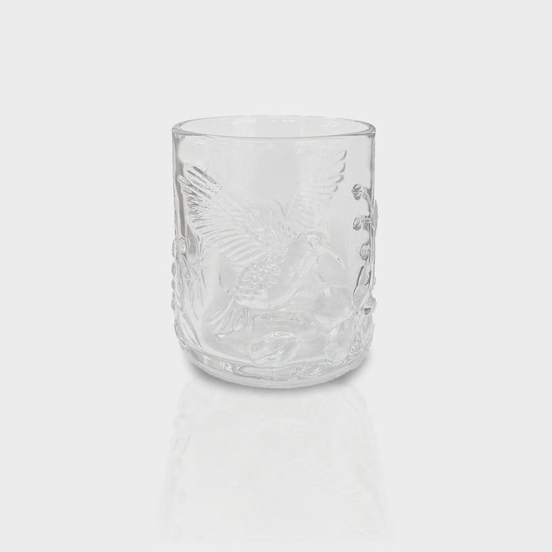 Summer Rainforest Glasses - Clear