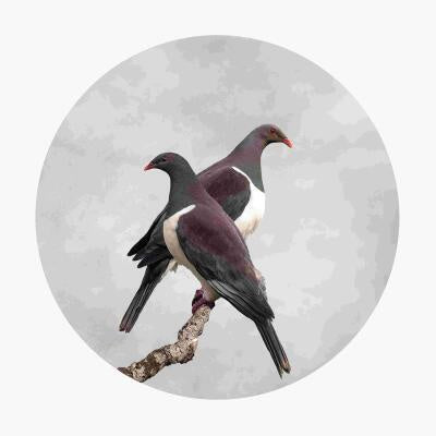 Kereru Duo - Nathan Secker