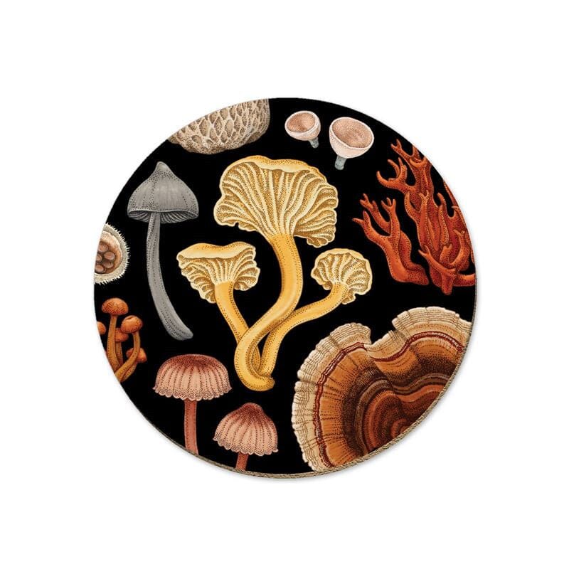 Tanya Wolfkamp Coasters - Fungi Tableware Tanya Wolfkamp 