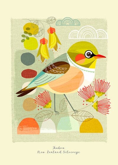 Tauhou, Small Birds of NZ - Ellen Giggenbach Art - Image Vault Ellen Giggenbach 