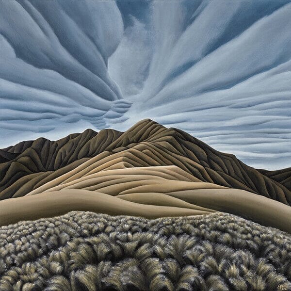 Tussock Traverse -Diana Adams Art - Image Vault Diana Adams 
