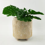 Oakley Planter