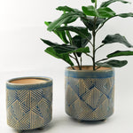 Oakley Planter