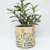 Pilbra Planter - Green/Yellow