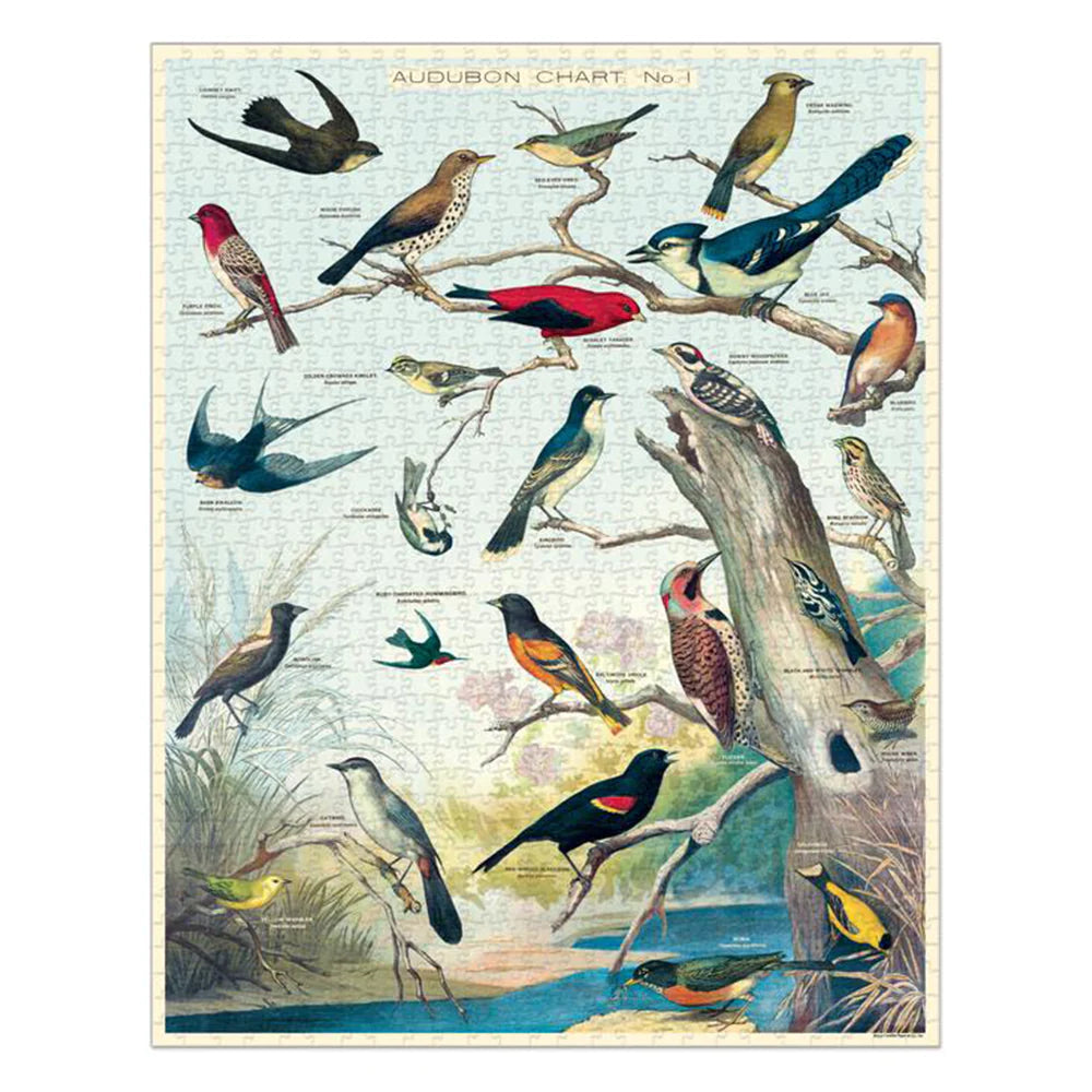 Vintage Audubon Birds Puzzle Novelty Cavallini & Co 