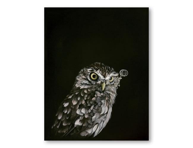 Captain Hooter  - Jane Crisp