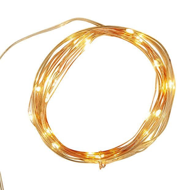 Cooper Seed Lights - 2m warm white (SALE)