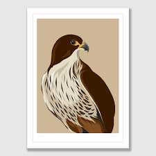 Falcon print - A4