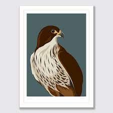 Falcon print - A4