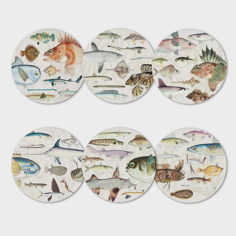 Fishes of NZ - Box of 6 Coasters