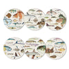 Fishes of NZ - Box of 6 Placemats