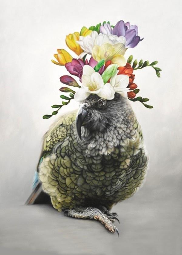 Freesia Kahlo - Jane Crisp