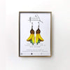 Handmade Bead Earrings - Kowhai Flower