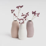 Harmie Vase - Leo (Sale)