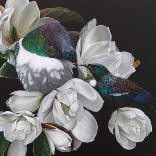 Harmony - Jane Crisp