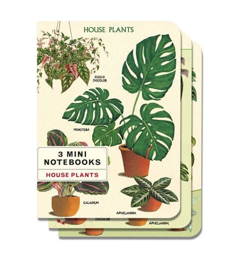 House Plants Mini Notebooks set of 3
