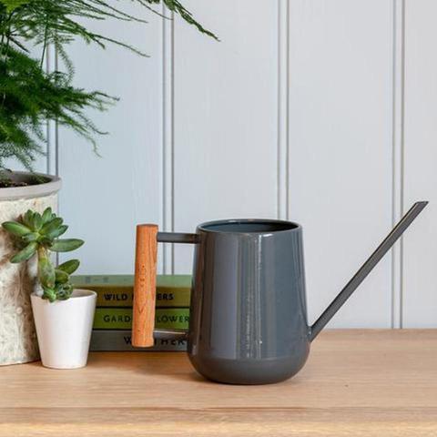 Indoor Watering Cans