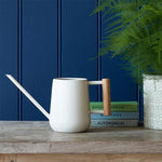 Indoor Watering Cans