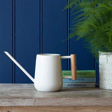 Indoor Watering Cans
