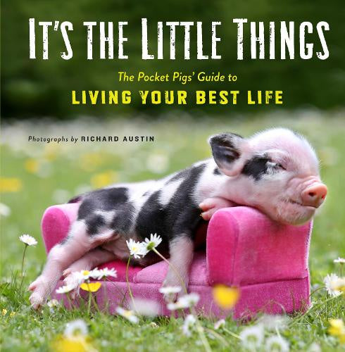 It's the little things book