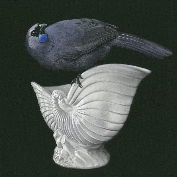Kokako on Crown Lynn - Jane Crisp