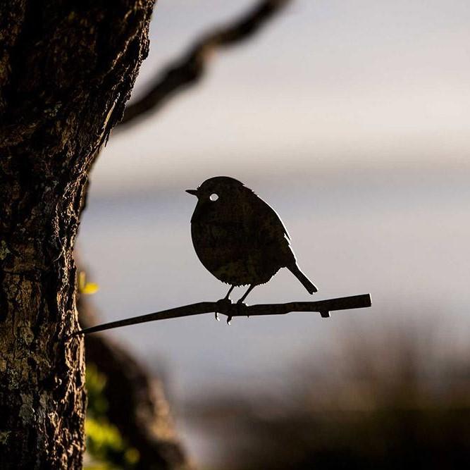 Metalbird - Black Robin