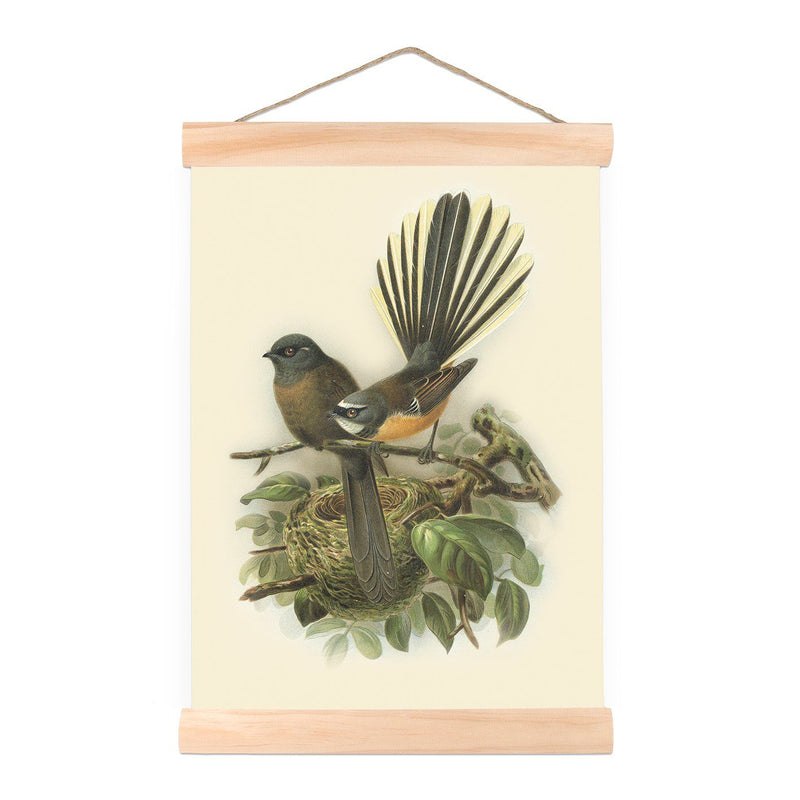 Small Vintage Wall Chart - Bullers Fantail