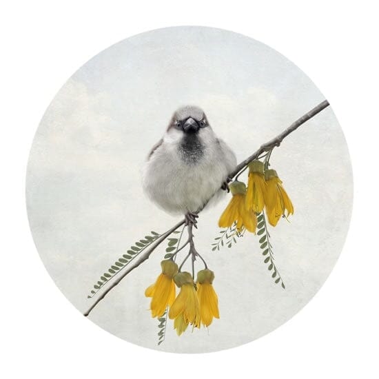 Nathan Secker Greeting Card