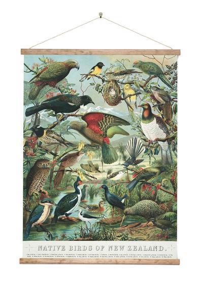Native Birds of NZ Vintage Wall Chart