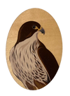 NZ Bird Wooden Magnets - Hansby